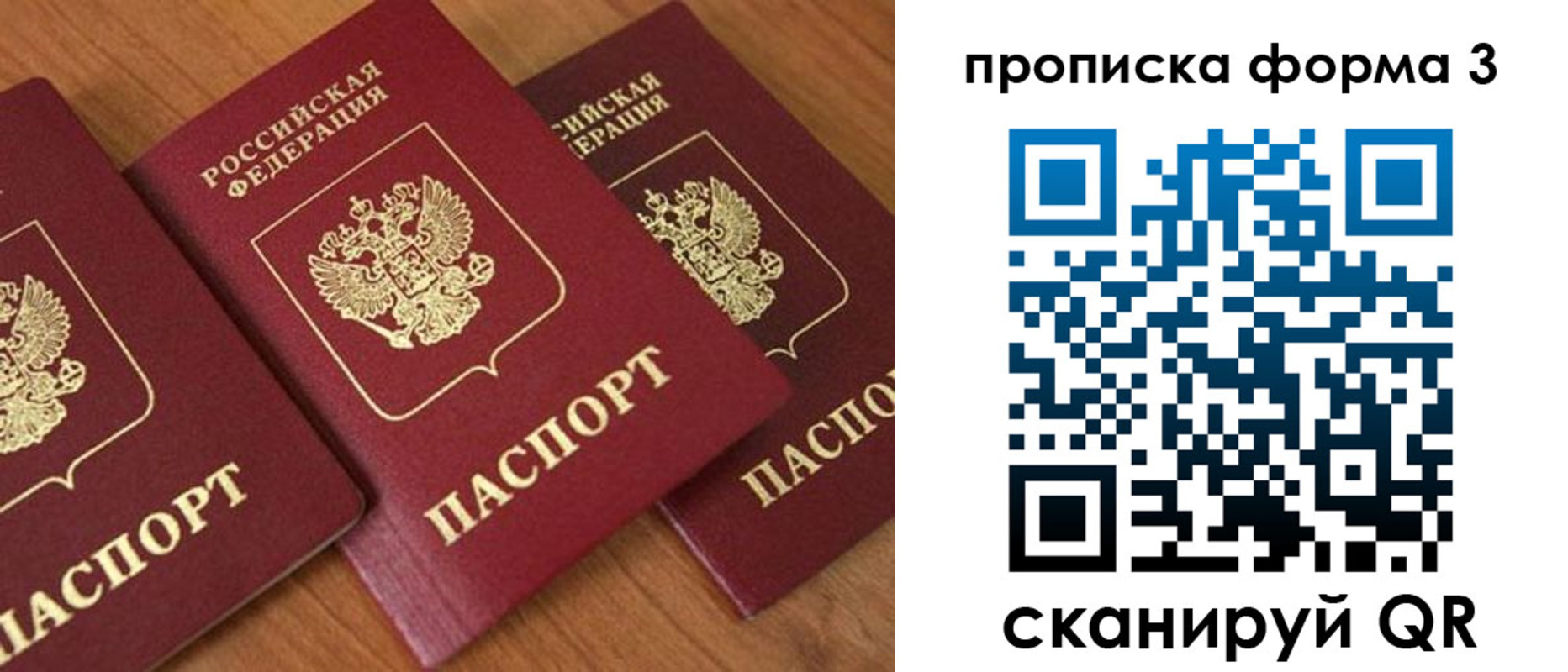 прописка в квартире в Ельне